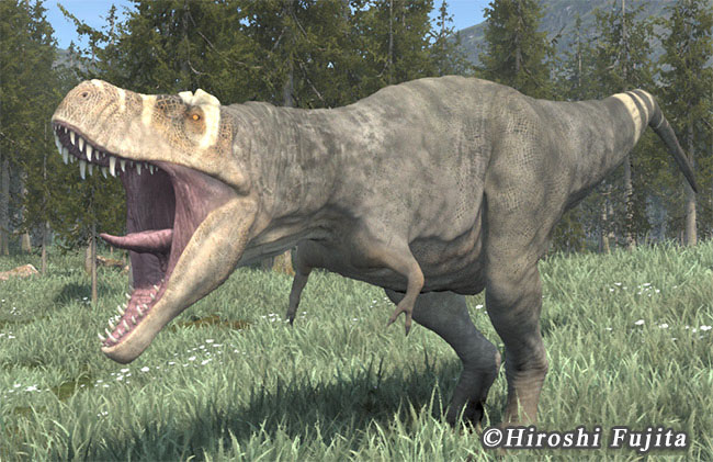 時代を超えたかっこよさ ティラノサウルスの高画質画像まとめ 写真まとめサイト Pictas