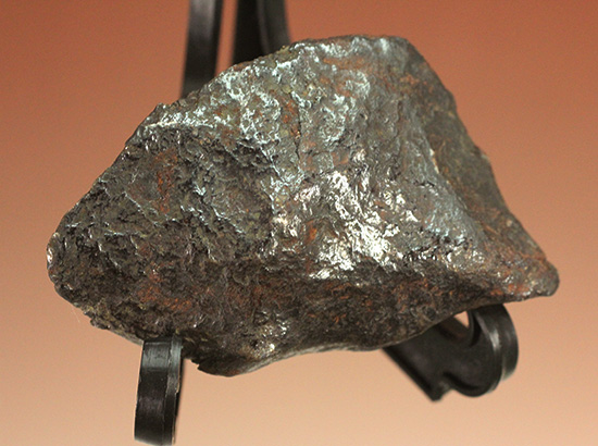 鉄隕石をアップしました。 | 化石セブンの最新情報