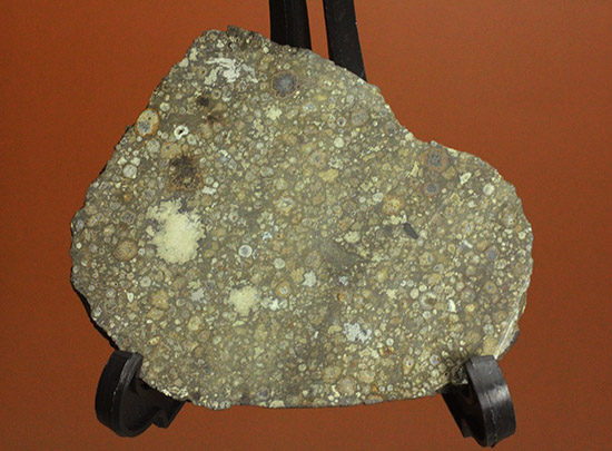 これぞロマンの塊！太陽系最古の物質でもある、アエンデ隕石のスライス標本。/新生代（6500万年前 -- 現在）【ot964】