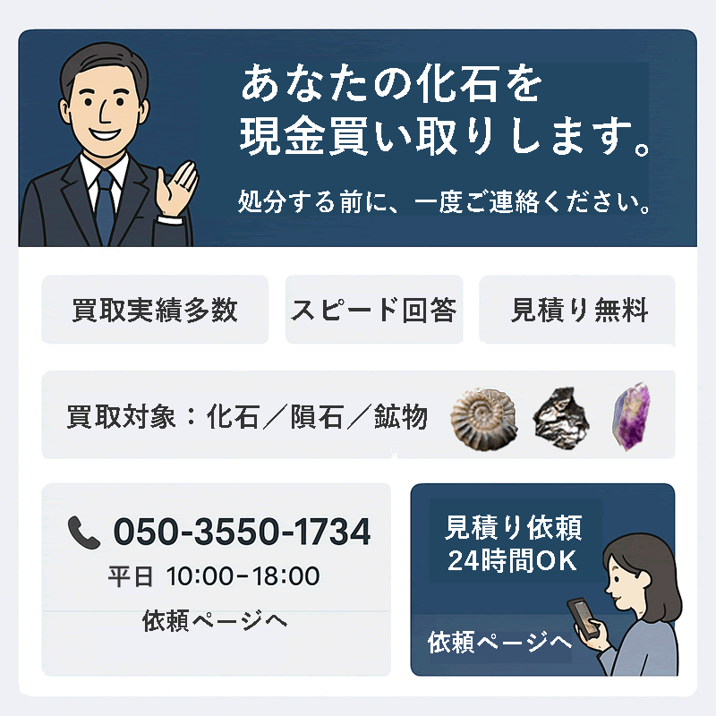 見積もりは無料です。契約が成立するまでいつでも断れます。