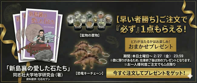 限定プレゼント企画