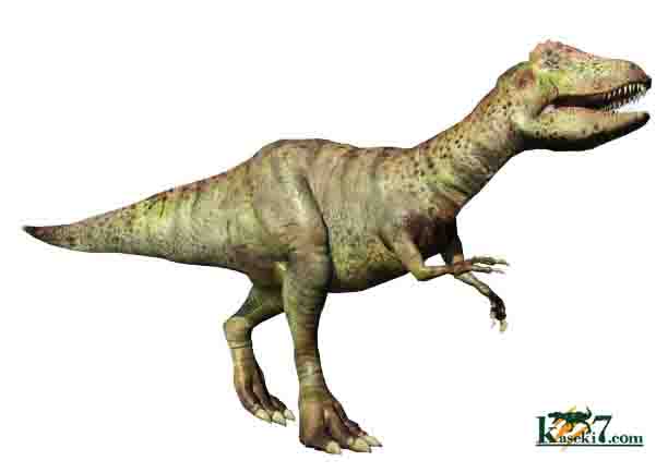 アロサウルス 化石 の一覧です
