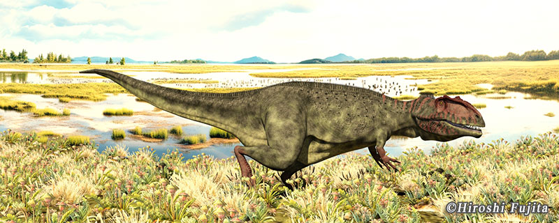 カルカロドントサウルス（化石）の一覧です。|化石販売の化石セブン