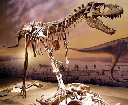 アンタルクトサウルス