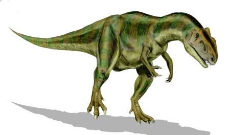 アロサウルス実寸大アームレプリカ リアルサイズ70cm 化石セブンオリジナル レプリカ 販売