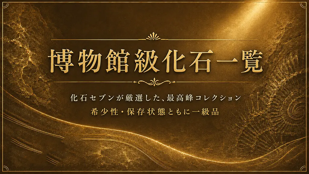 博物館級化石一覧 プレミアムコレクション