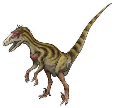 アメリカ・ヘルクリークhellcreekの恐竜 | 恐竜化石に関するコラム【三