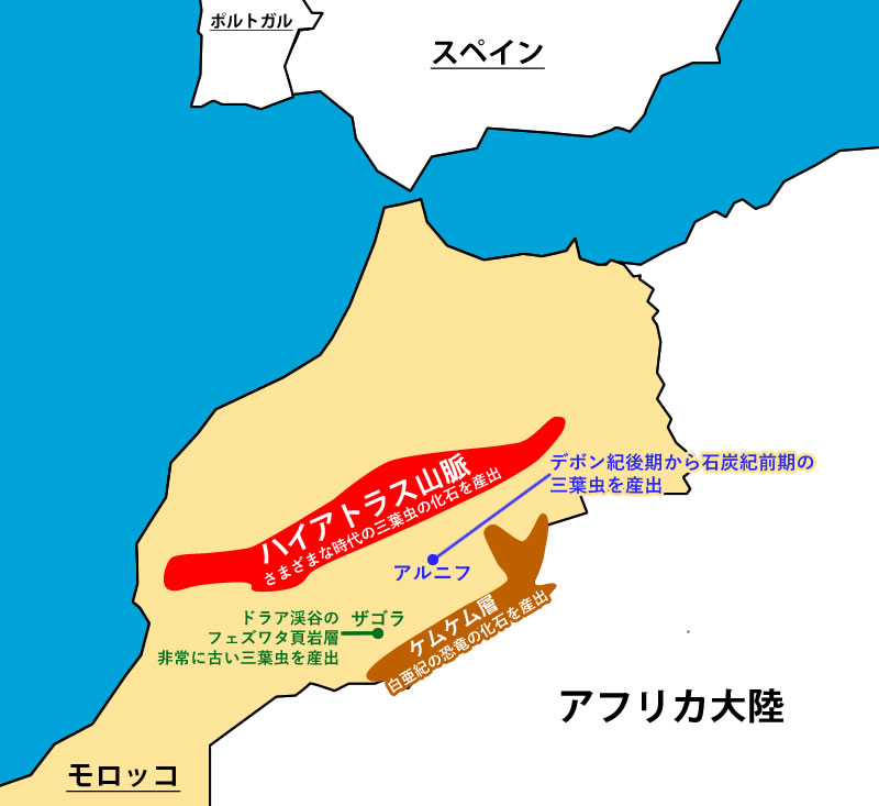 モロッコ5大化石産地をご紹介：時を超えた自然の遺産 | 恐竜化石に関するコラム【三葉虫,アンモナイト,サメの歯】