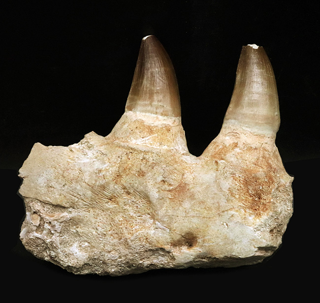 ウレド・アブドゥン盆地