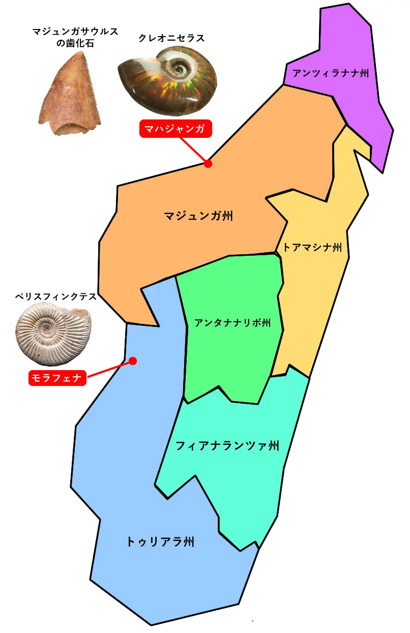 マダガスカル島の化石産地