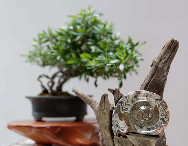 お客様から頂いた写真