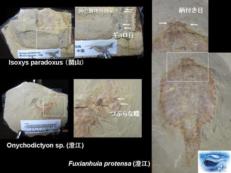 お客様から頂いた写真