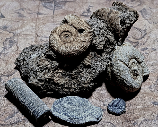 お客様から頂いた写真