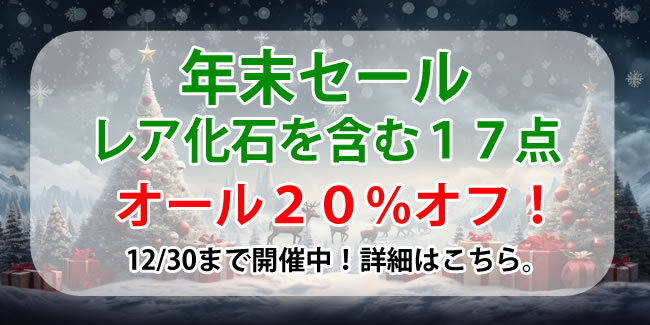 化石 販売 恐竜 ティラノサウルス