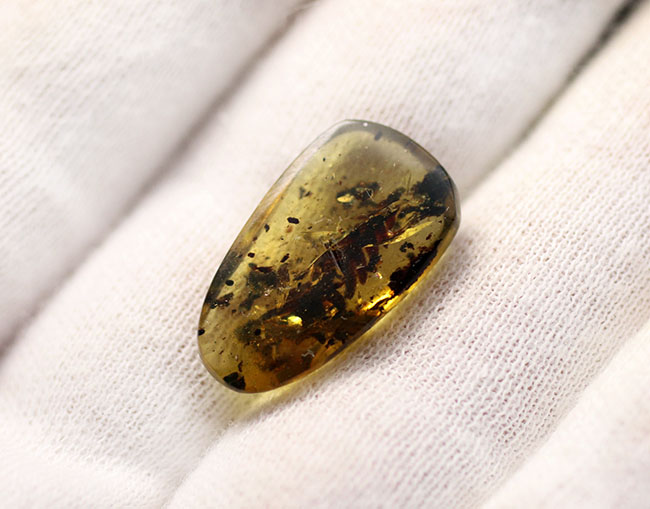 １億年前の恐竜時代の植物が内包されたアンバー、ビルマ琥珀（Amber） 化石 販売