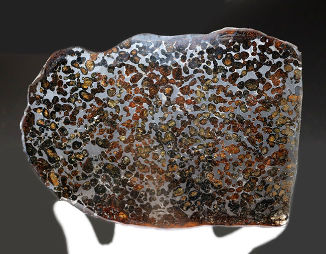 セリコ(隕石) パラサイト 十二芒星 ps-5セリコ