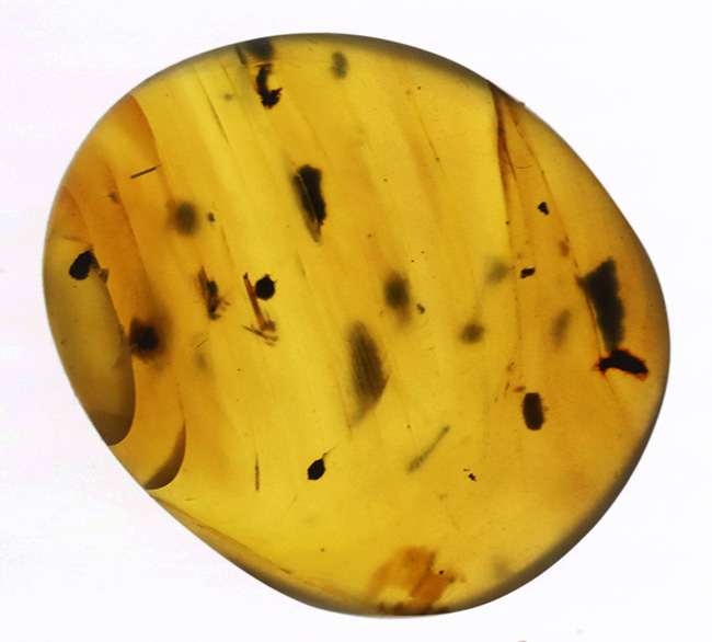 本物保証定番琥珀（バーマイト） Amber (Burmite) 白亜紀 本物 虫入り琥珀 天然石 ビルマ琥珀 琥珀 原石 宝石 アンティーク 化石 コハク 042814 アンバー、琥珀