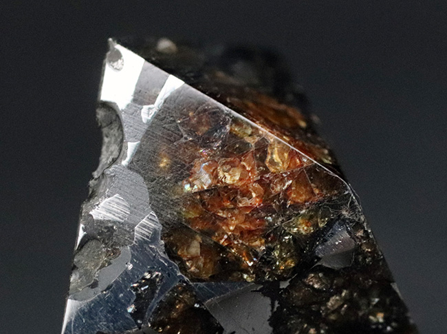 これぞ贅沢！デカい！分厚い！美しい！最厚部１３ミリの分厚く大きな個体！隕石コレクター憧れの、石鉄隕石（パラサイト）、セイムチャン（Seymchan）の塊標本