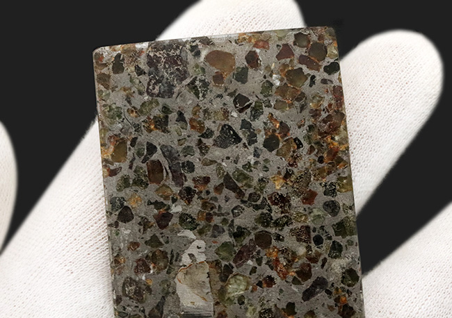 薄くカットされたタイプ、石と鉄が共存する不思議な隕石、パラサイト
