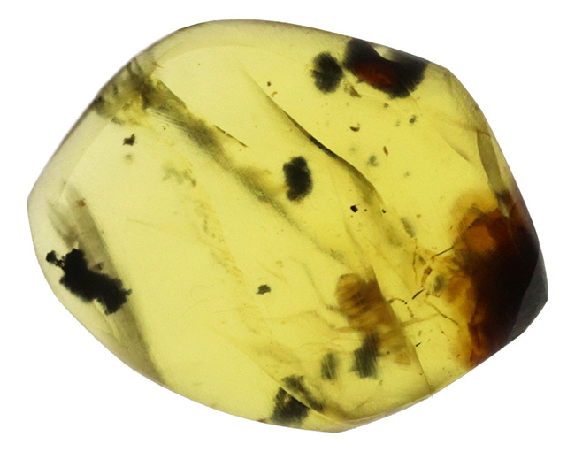 新品超激安琥珀（バーマイト） Amber (Burmite) 本物 ビルマ琥珀 天然琥珀原石 ネックレス ブレスレット アクセサリー ペンダント リング 060240 アンバー、琥珀