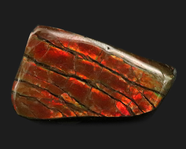 濃い赤を呈します！カナダ・アルバータ州で採取された宝石、アンモライト（Ammolite）を使ったピンブローチ（その1）