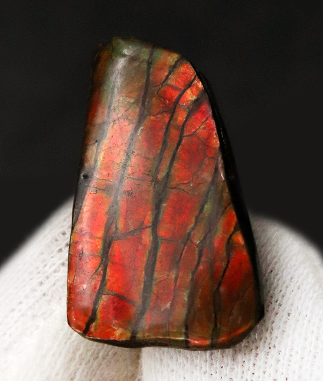 濃い赤を呈します！カナダ・アルバータ州で採取された宝石、アンモライト（Ammolite）を使ったピンブローチ（その2）
