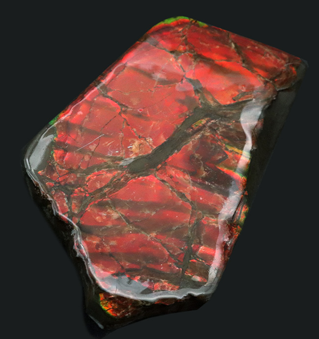アンモライト(オパール化したアンモナイト化石) 赤斑 ルース 宝石 145g 
