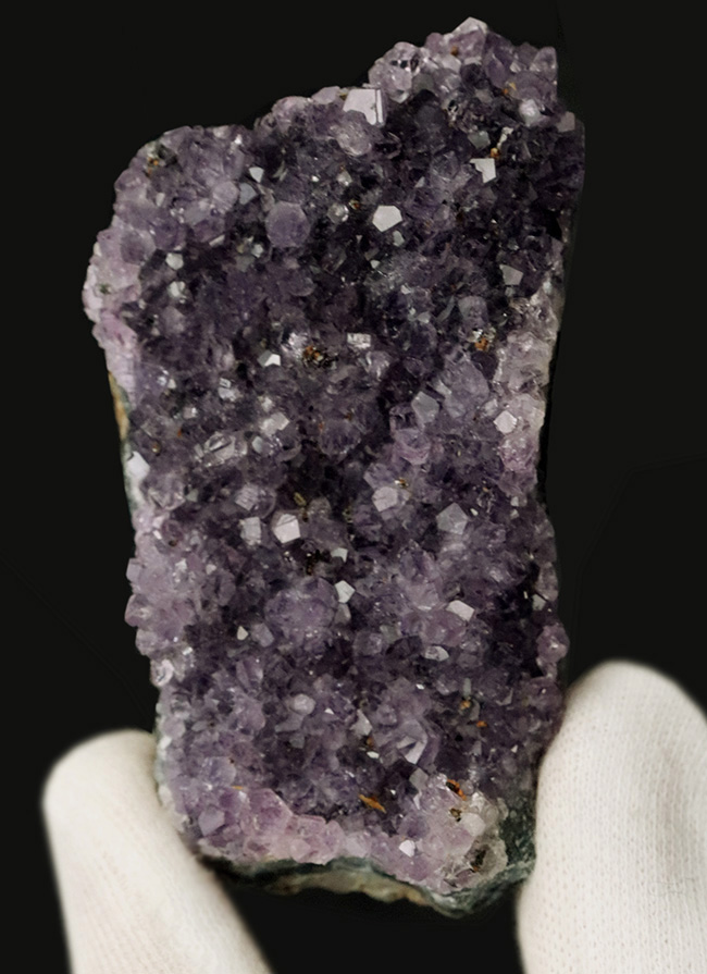 サービスプライス！産状が保存された天然アメシスト（Amethyst）の原石（その1）