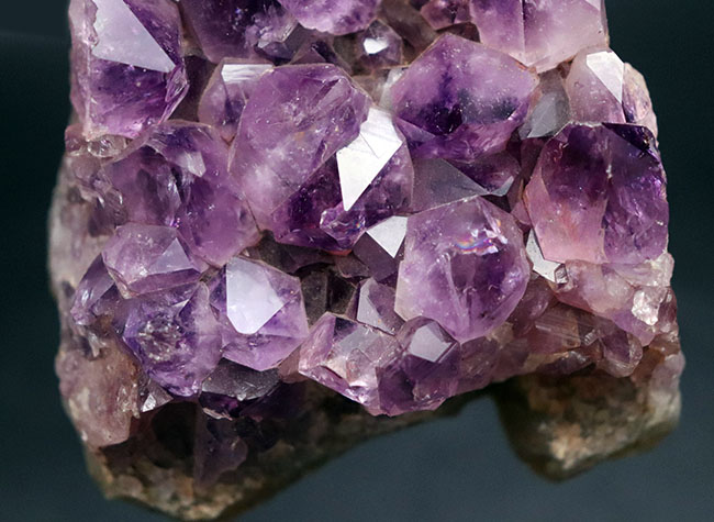 高貴な色、紫を呈する、宝石としても名高いアメシストの天然標本（Amethyst） 鉱物 販売