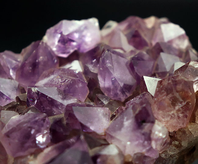 高貴な色、紫を呈する、宝石としても名高いアメシストの天然標本（Amethyst） 鉱物 販売