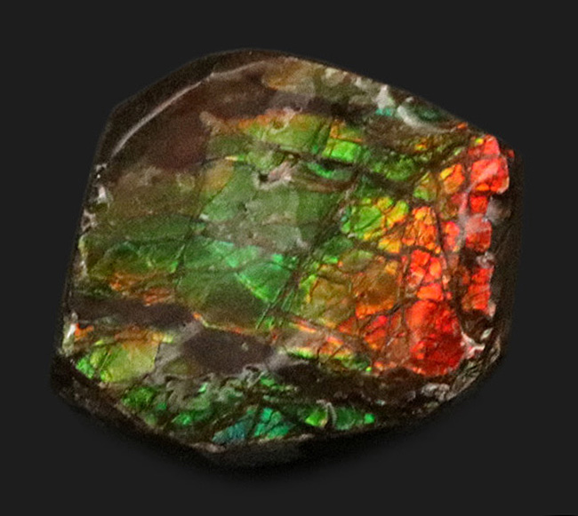 カナダの大自然が生み出した宝石、アンモライト（Ammolite）を用いたピンブローチ（その1）