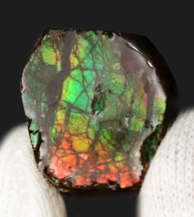 カナダの大自然が生み出した宝石、アンモライト（Ammolite）を用いたピンブローチ（その2）