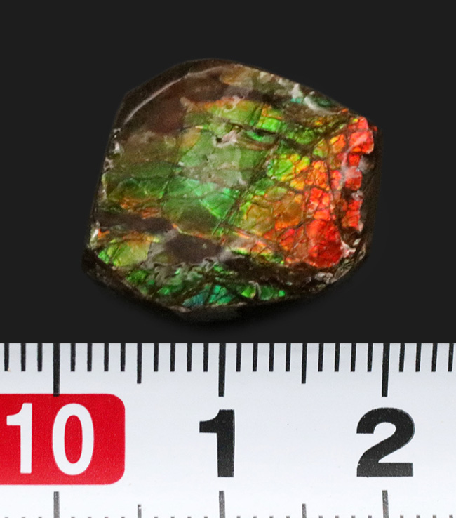 カナダの大自然が生み出した宝石、アンモライト（Ammolite）を用いたピンブローチ（その5）