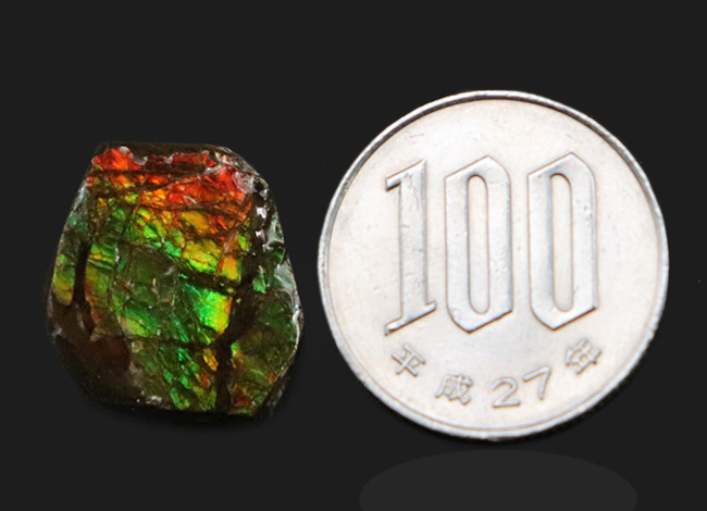 カナダの大自然が生み出した宝石、アンモライト（Ammolite）を用いたピンブローチ（その6）