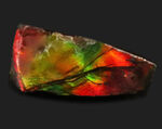 小サイズながらのその輝きは一級！カナダ・アルバータ州が生んだ自然の宝石、アンモライト（Ammolite）のピース