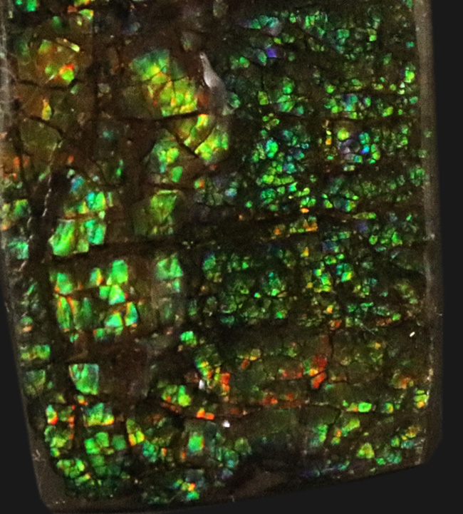 グリーンドラゴン！カナダ・アルバータ州の大地が生み出した生物起源の宝石、アンモライト（Ammolite）のピース（その4）