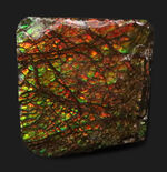 これぞアンモライト（Ammolite）の原石！キラキラと様々な色に輝く、まさに宝石のようなピース