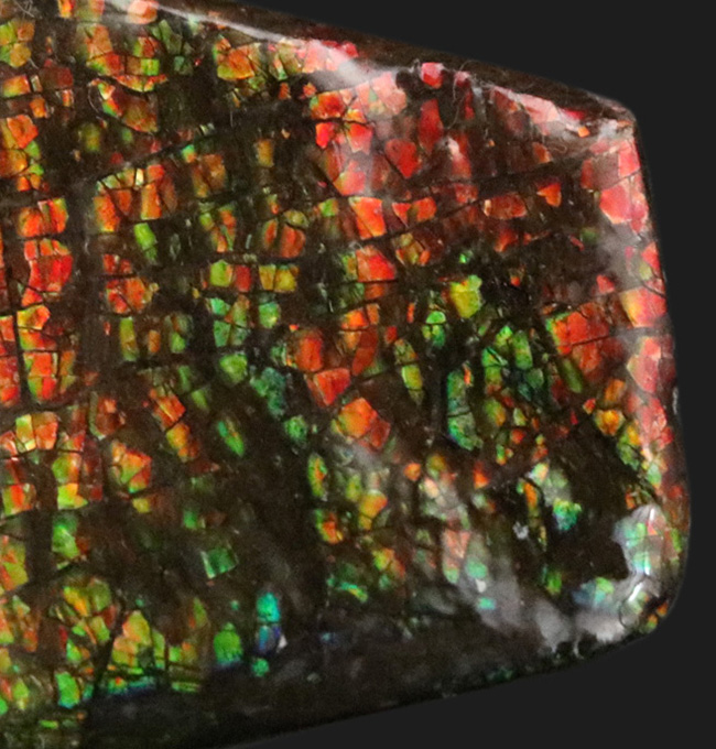 小型ながら素晴らしい輝き！ドラゴンスキン！カナダ・アルバータ州産の宝石、アンモライト（Ammolite）（その3）