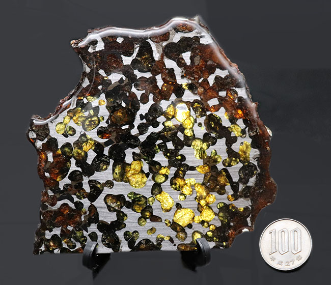 ビッグサイズ！煌々と輝くカンラン石が保存されたケニヤ産パラサイト