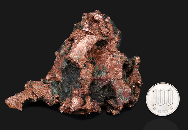 これが自然銅だ！お、重い・・・。米国ミシガン州のカレドニア鉱床産の自然銅（Native copper）