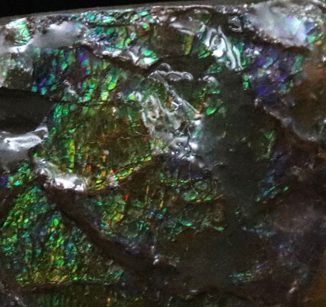 カナダ・アルバータの大地の恵み！赤と緑のハーモニーが見事なアンモライト（Ammolite）の原石（その5）