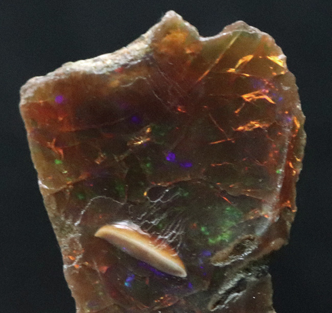 世界的産地、エチオピアで採集された美しき宝石、オパール（Opal）の原石（その2）