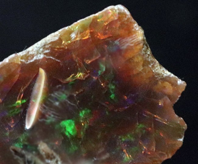 世界的産地、エチオピアで採集された美しき宝石、オパール（Opal）の原石（その3）