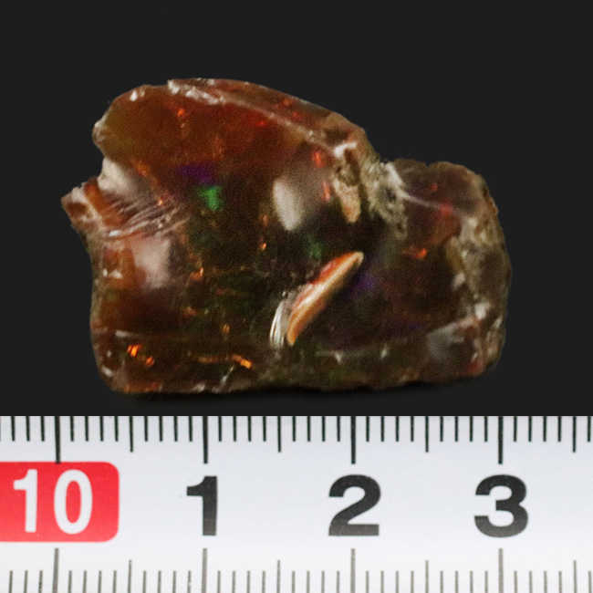 世界的産地、エチオピアで採集された美しき宝石、オパール（Opal）の原石（その5）