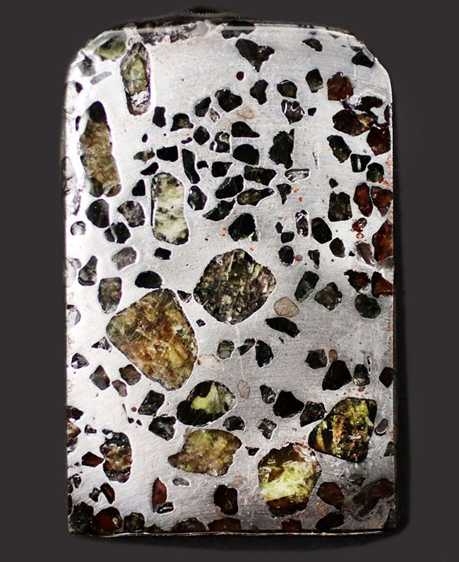 鉄とカンラン石かなる特殊な構造で知られる、美しき石鉄隕石、パラサイトのスライス標本 隕石 販売