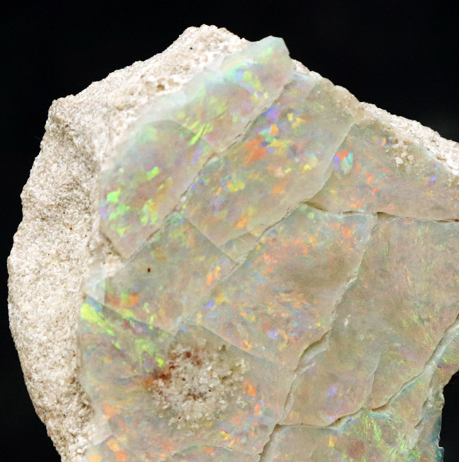 ブランド産地、オーストラリア・ミンタビーで発掘された天然オパールの原石（Opal）（その1）