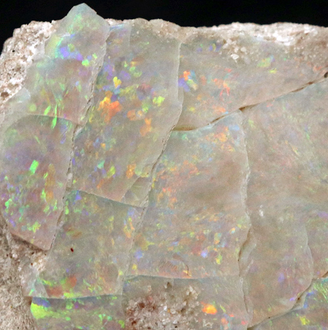 ブランド産地、オーストラリア・ミンタビーで発掘された天然オパールの原石（Opal）（その7）