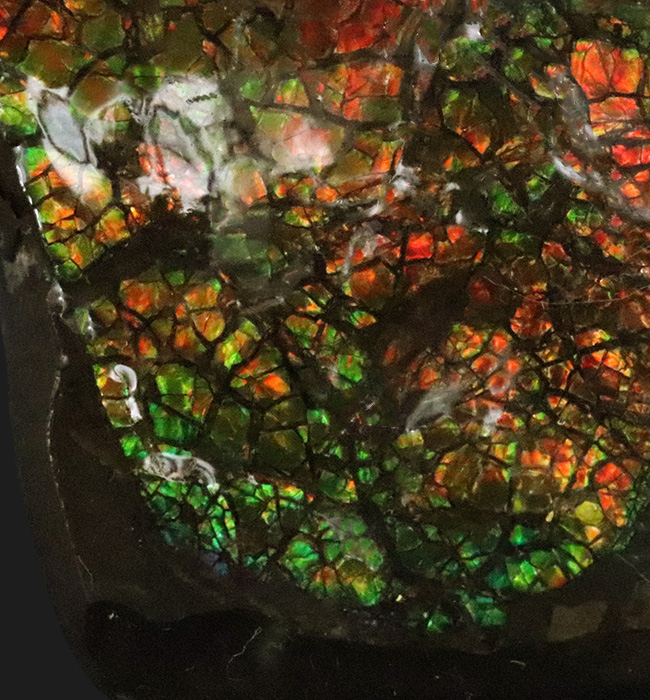 カナダ・アルバータ州が産んだ宝石、レッド、オレンジ、グリーンを呈する美しいアンモ「ラ」イト（Ammolite）のピース（その5）