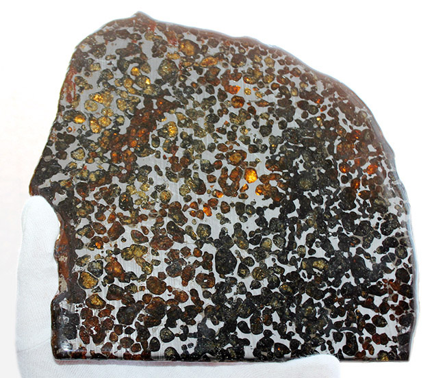 セリコ隕石 本物 101グラム 皮付き