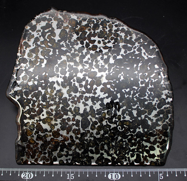 セリコ隕石 本物 101グラム 皮付き